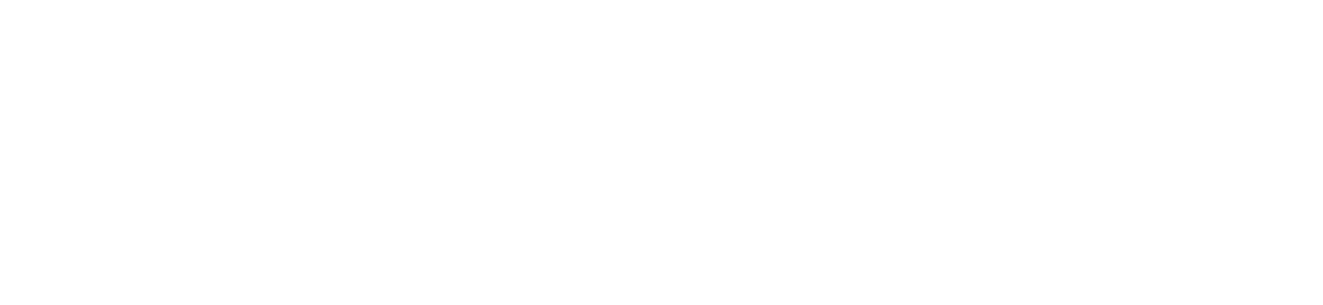 MAHT logo (valge)